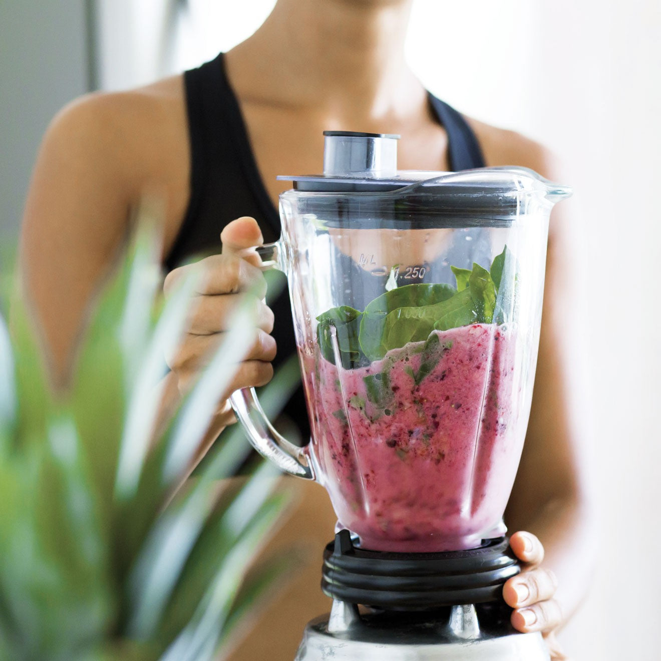 Optimize "Daily Smoothie Fit" MEAL PACKAGE